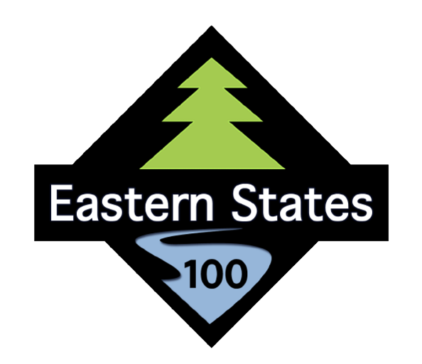ES100